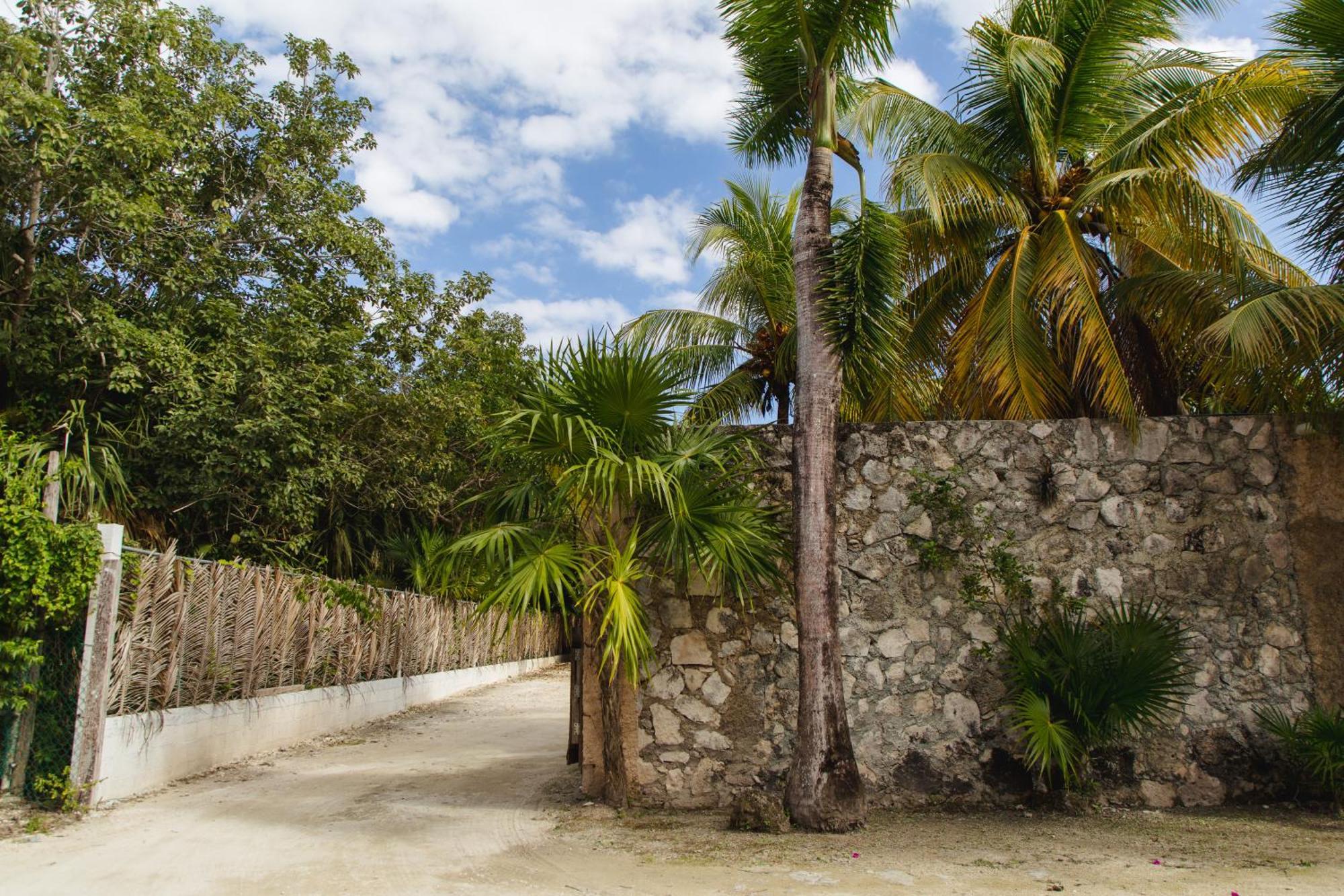Angelina 28 Beachfront And Family Apartments - Modern And Relaxing Long Stays - 20 Min From Cancun Airport 푸에르토 모렐로스 외부 사진