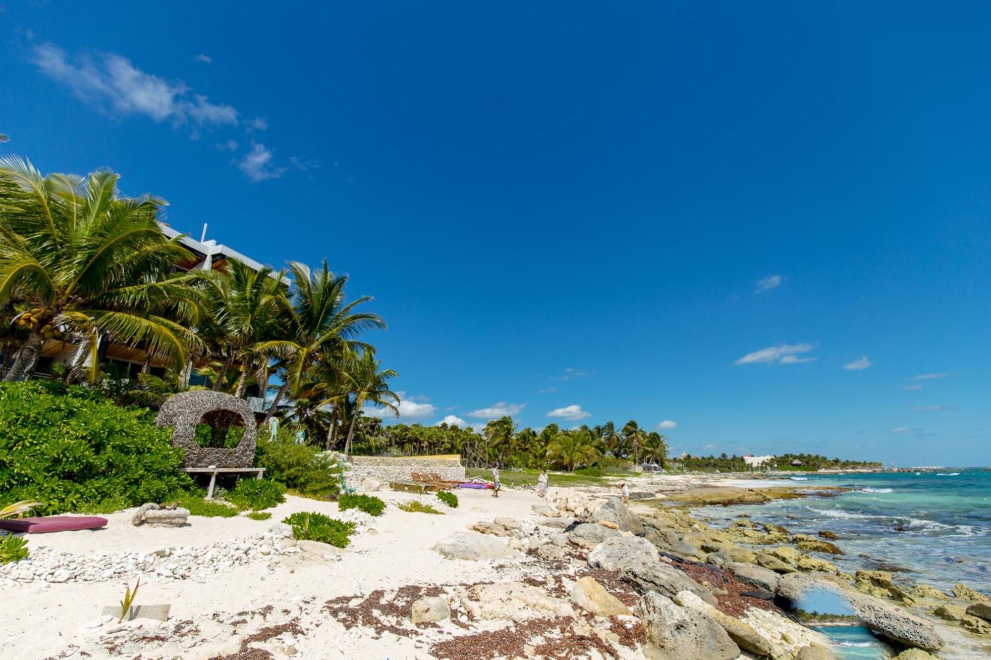 Angelina 28 Beachfront And Family Apartments - Modern And Relaxing Long Stays - 20 Min From Cancun Airport 푸에르토 모렐로스 외부 사진