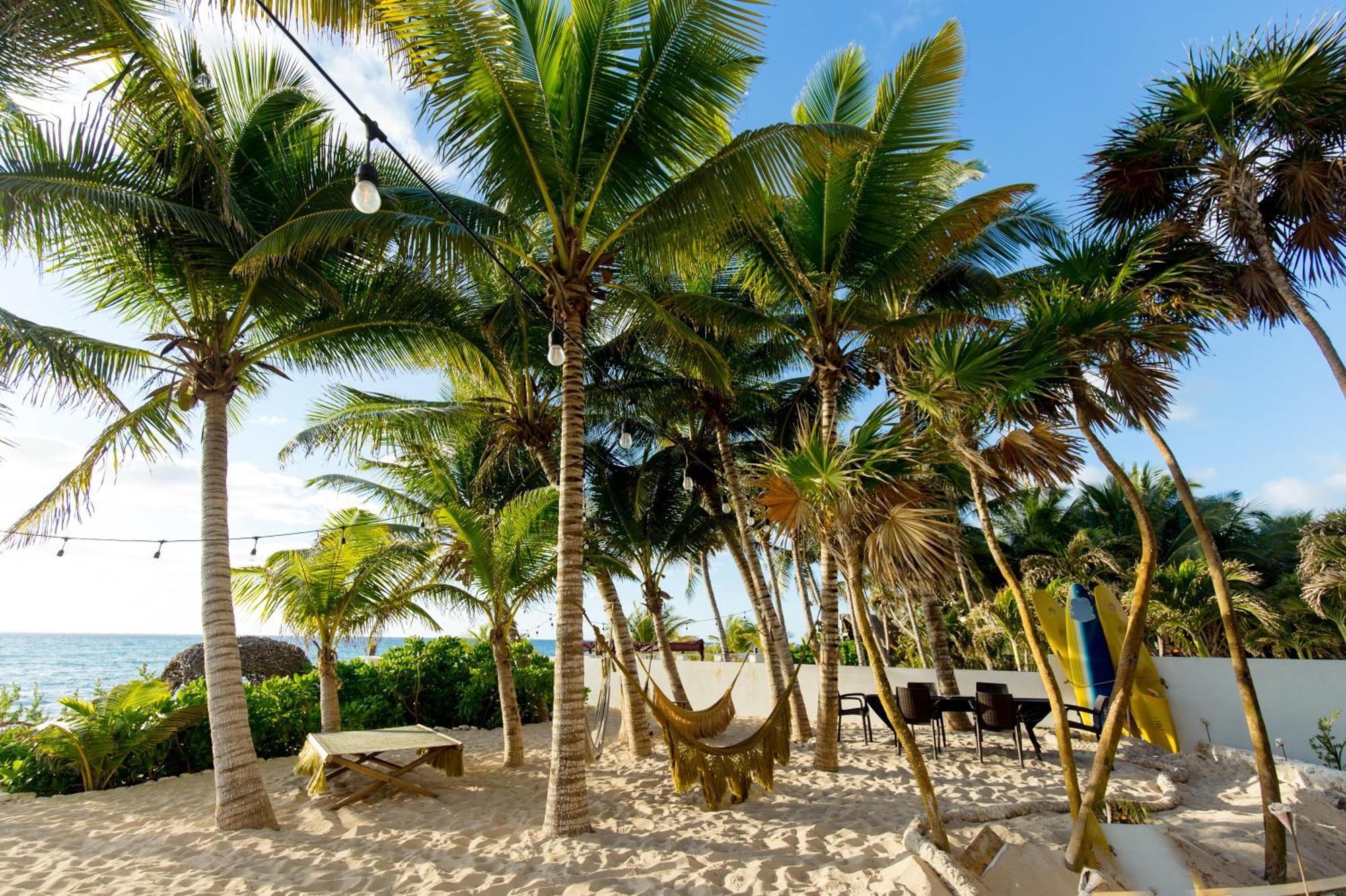 Angelina 28 Beachfront And Family Apartments - Modern And Relaxing Long Stays - 20 Min From Cancun Airport 푸에르토 모렐로스 외부 사진